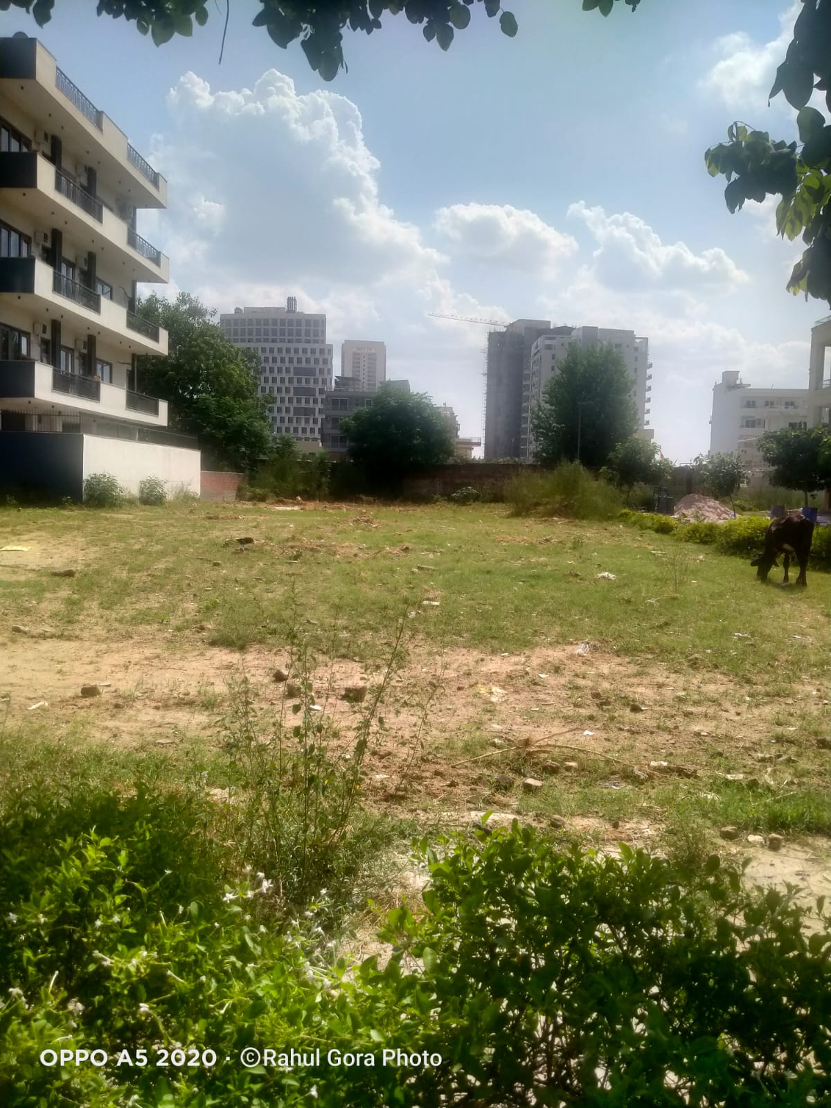 Vatika India Next Plots