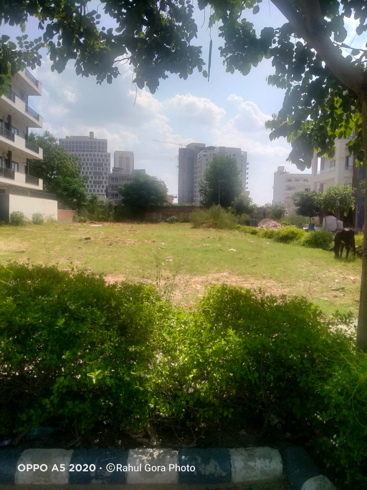 Vatika India Next Plots