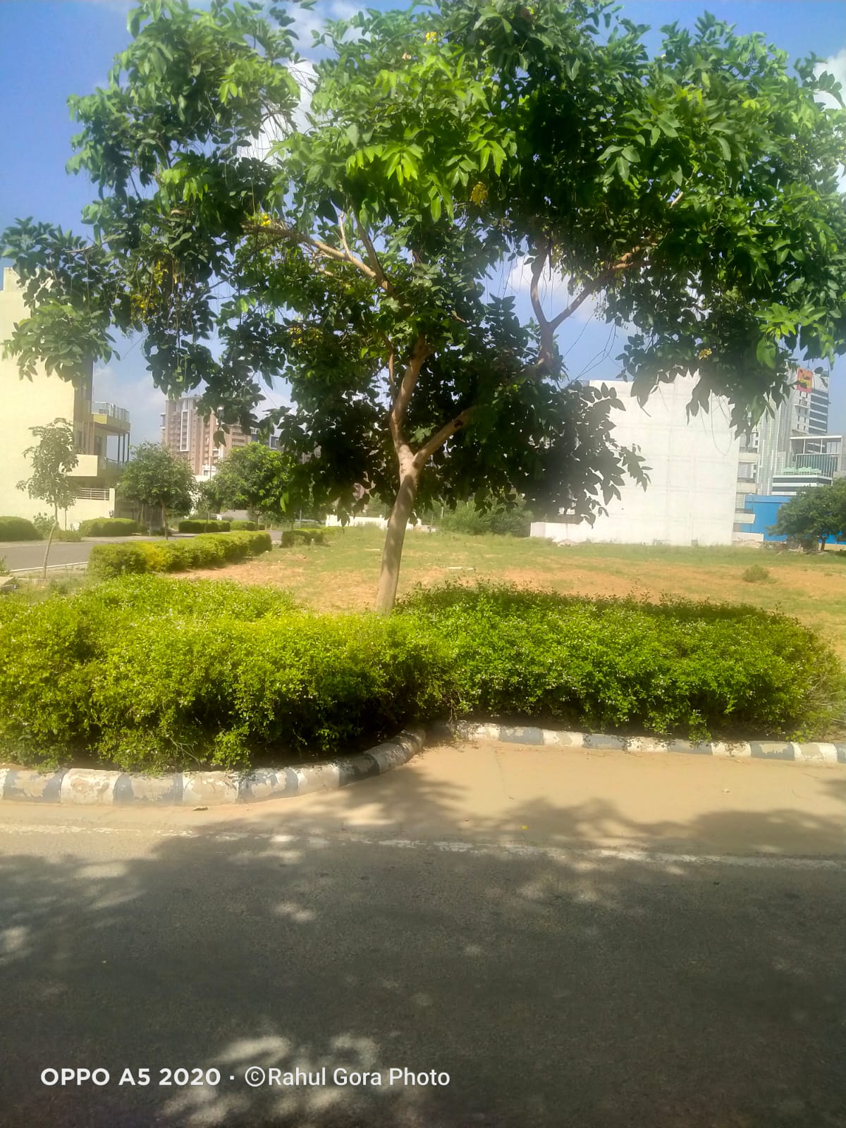 Vatika India Next Plots