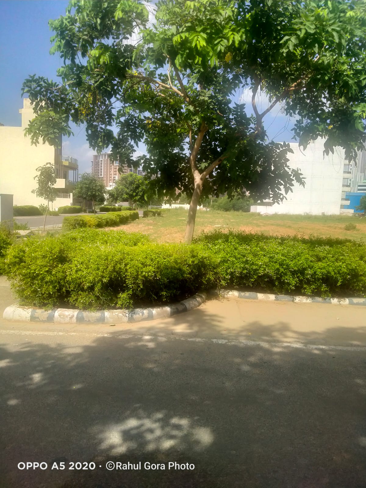 Vatika India Next Plots