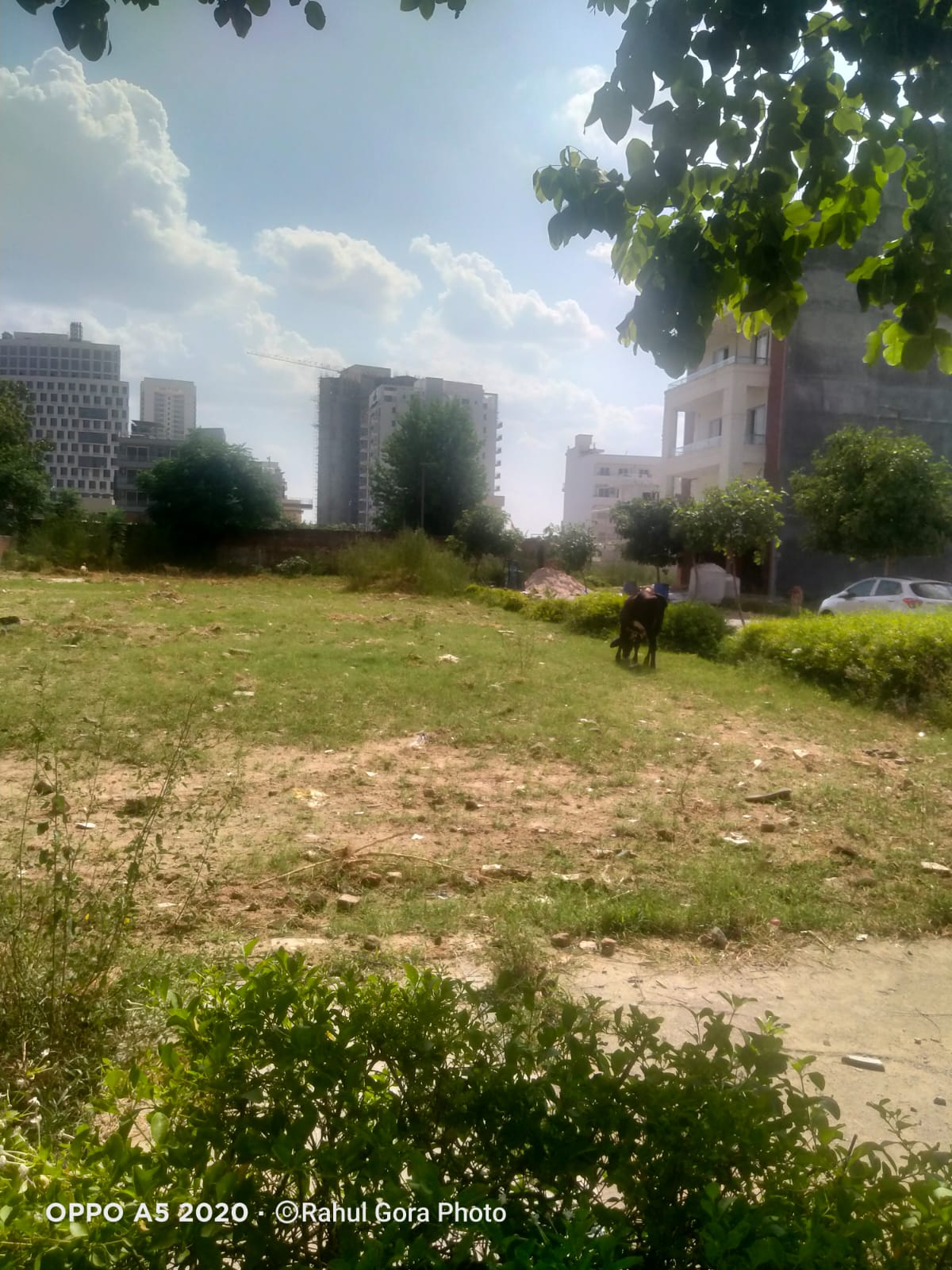 Vatika India Next Plots